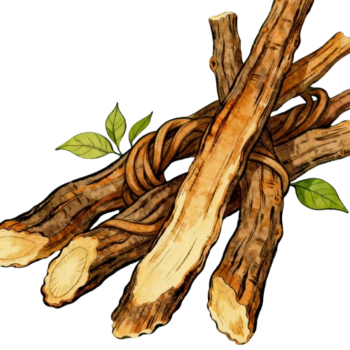 Licorice (Glycyrrhizae Radix et Rhizoma) - TCM herb